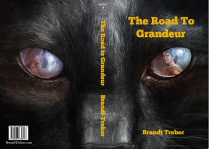 Bookcover CS FINAL FINAL